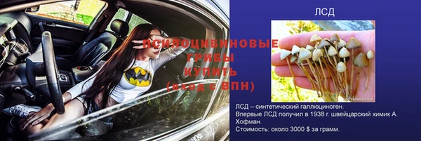 МДПВ Алексеевка