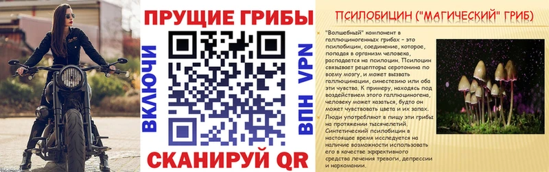Галлюциногенные грибы Magic Shrooms купить Томилино